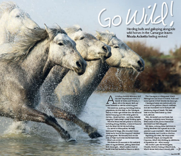 Horse magazine go wild!