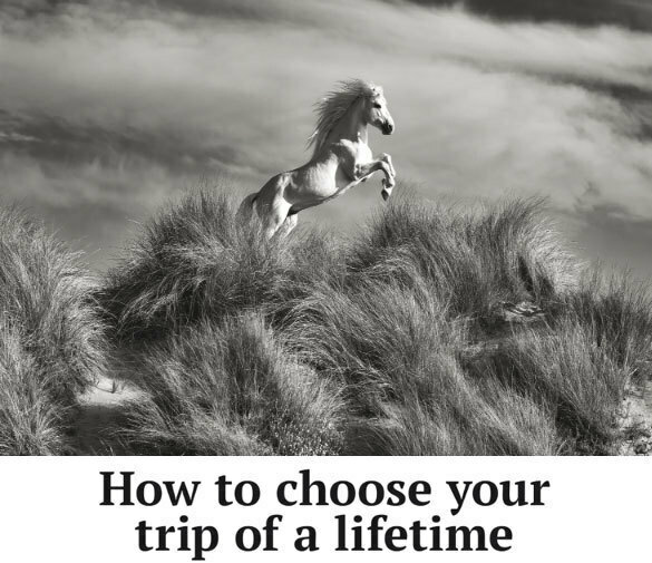 How To Choose Your Trip Of A Lifetime
