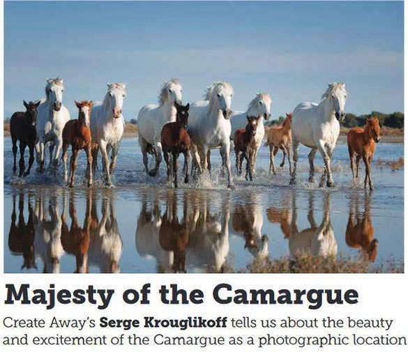 Majesty Of The Camargue