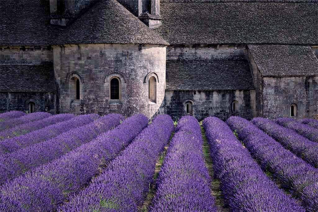 Provence Villages & Lavender